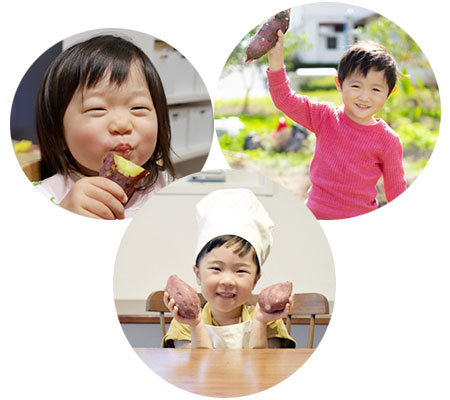さつま芋旨い！こどもの安全、自然食を食べよう！